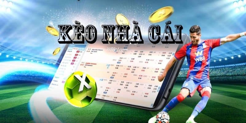 Bí quyết đặt kèo nhà cái thắng lớn trong năm 2022 4 Bí quyết đặt kèo nhà cái thắng lớn trong năm 2022