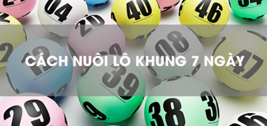Cập nhật kết quả xổ số Kiên Giang ngày hôm nay tại New88 7 Hỗ trợ nuôi lô 7 ngày liên tục