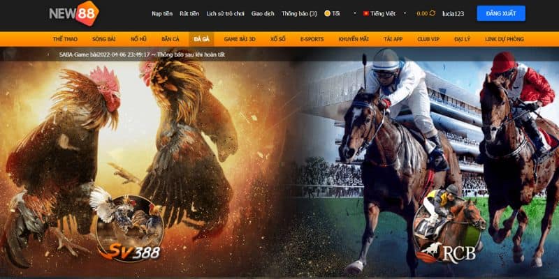 Đá Gà New88 Cách Cược Chi Tiết Cho Anh Em Mới Gia Nhập 7 Đá gà New88 có gì mà thu hút đông đảo anh em đến thế.