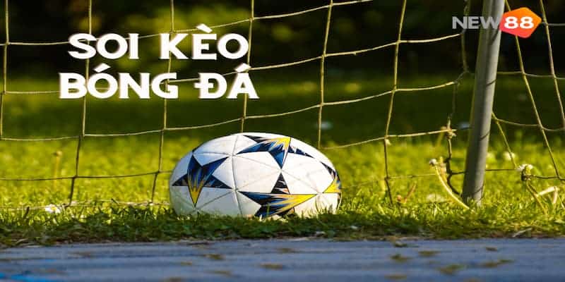 Một số mẹo hay soi kèo bóng đá chuẩn xác tại New88 7 Những lý do không nên bỏ qua việc soi kèo tại New88