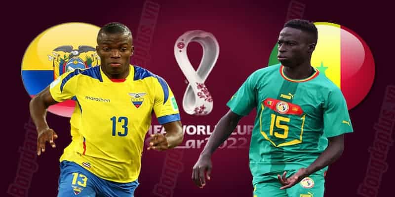 Ecuador bị Senegal đốn ngã với cách biệt chỉ 1 bàn 5 Nhận định trước trận